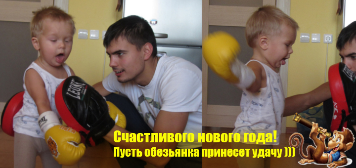 Год-огненной-обезьяны
