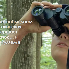 Акинская бабушка совершает квантовый скачок