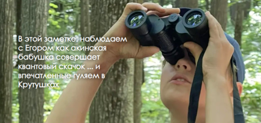 Акинская бабушка совершает квантовый скачок